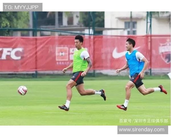 深圳篮球队在锦标赛中的默契配合与战术执行分析